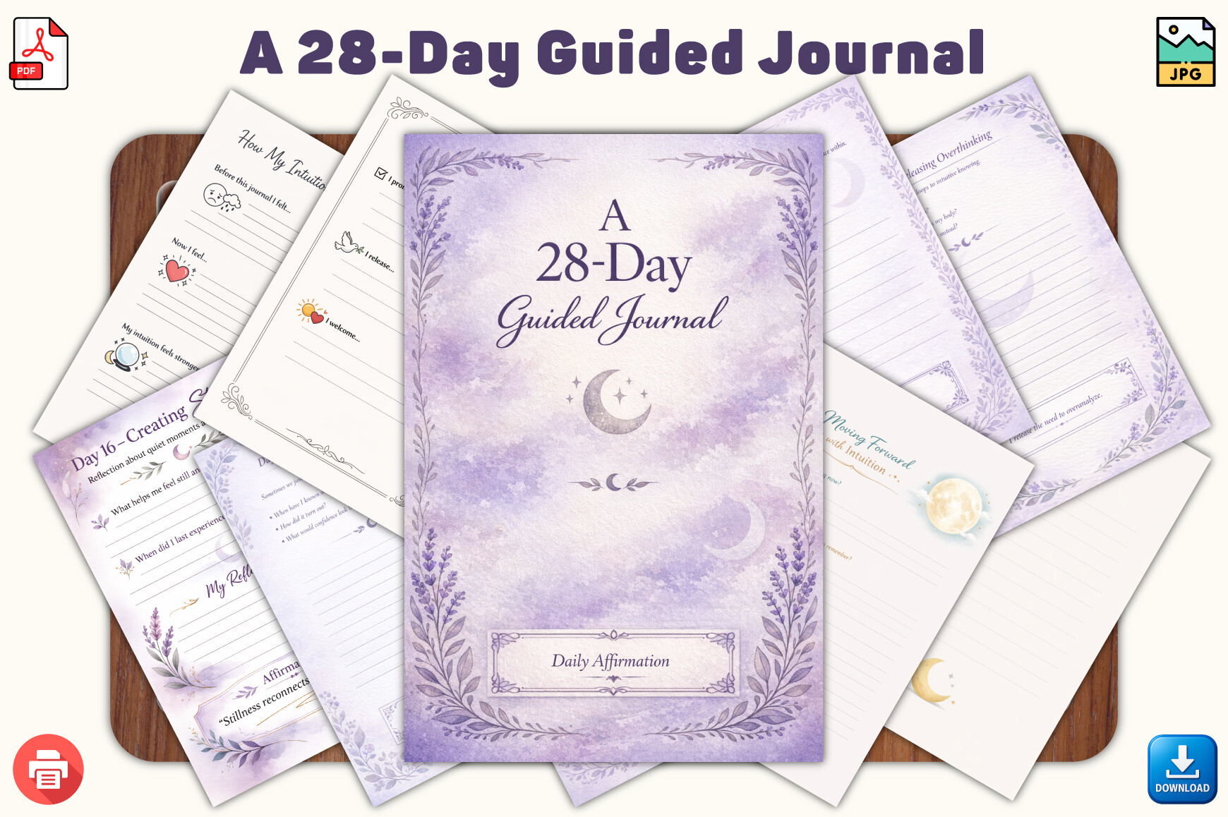 Daily Reflection Journal: A Twenty-Eight-Day Prompted Journal with Forty Total Pages original product preview