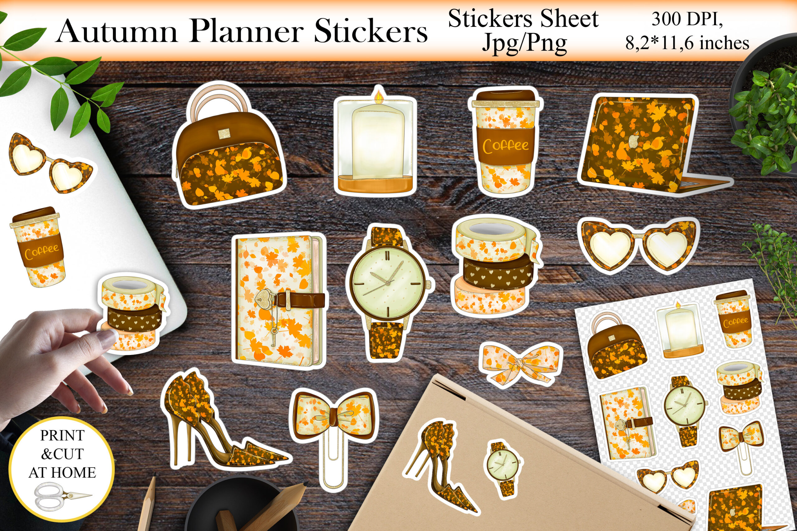 Autumn Planner Stickers: A4 Autumn Illustrations in Combined PNG and JPG Sheets original product preview