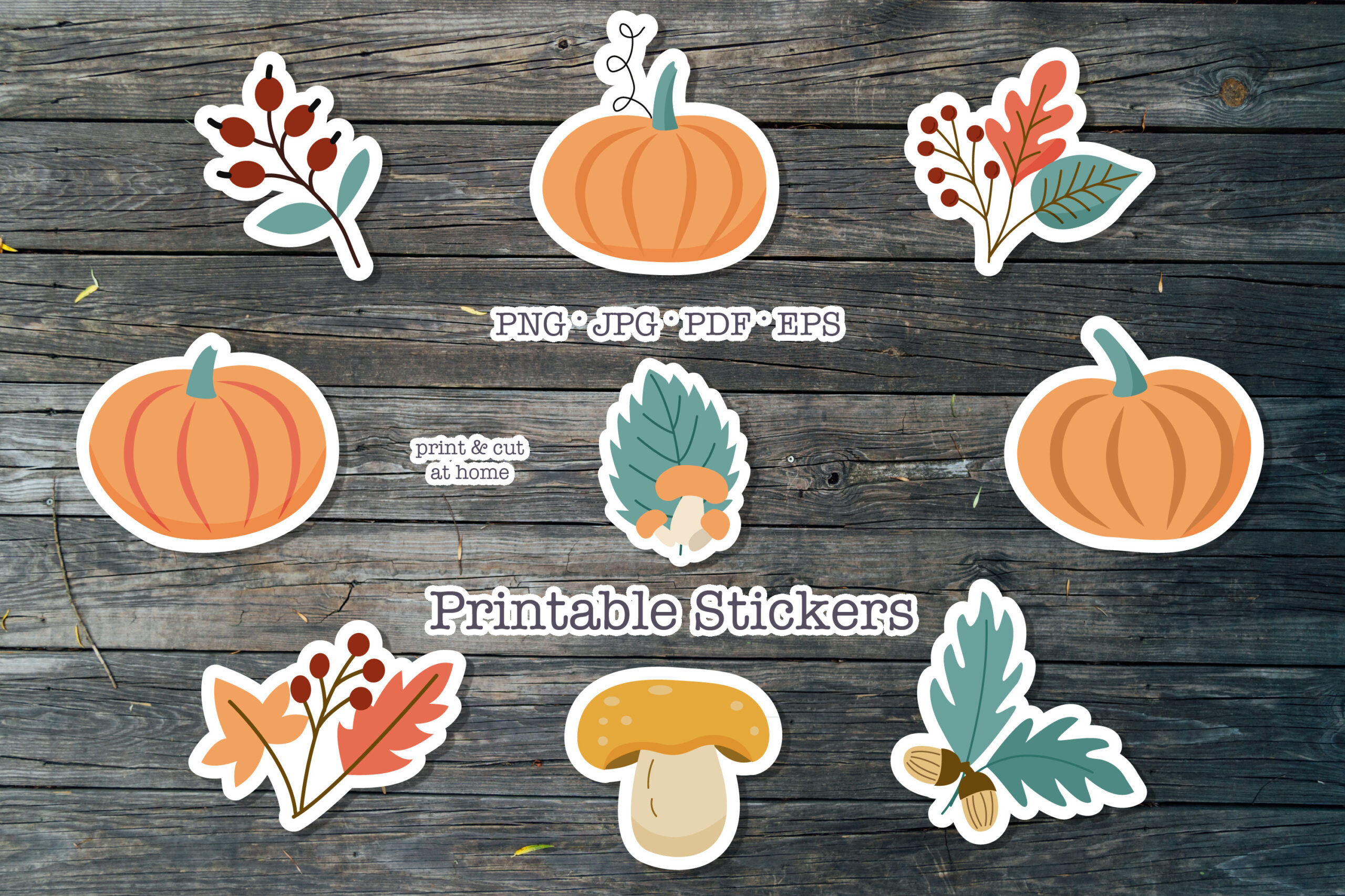 Autumn Planner Stickers: Nine Fall Designs with Separate Artwork and Cutting Layouts original product preview
