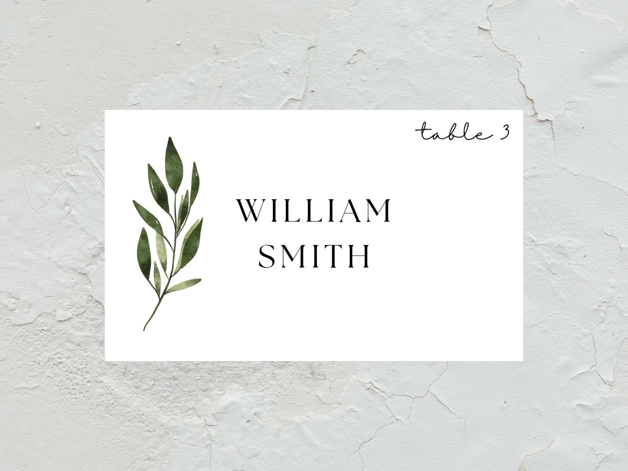 Christmas Place Cards: A Minimal Botanical Name Card with Flat and Tent Options original product preview