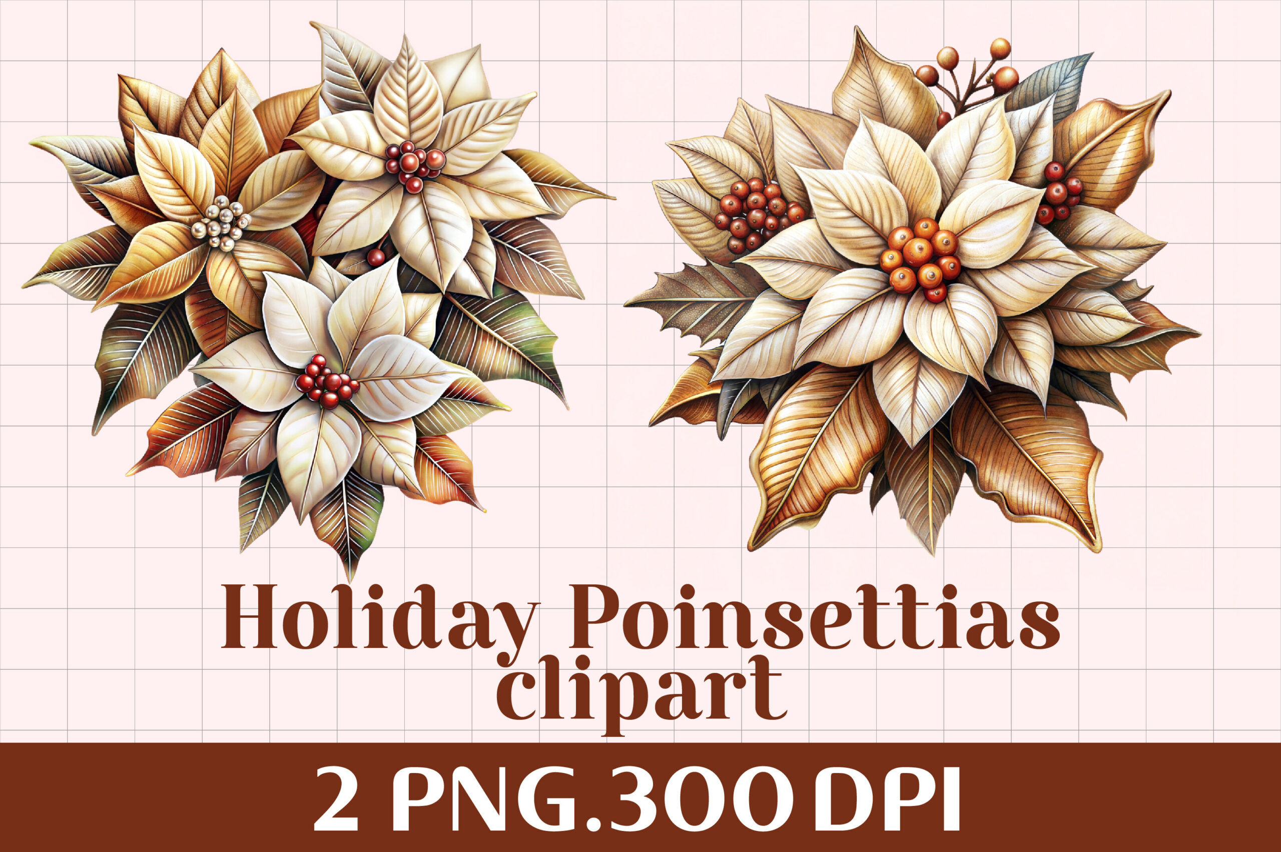 poinsettia stickers: Two Holiday Poinsettia PNGs original product preview