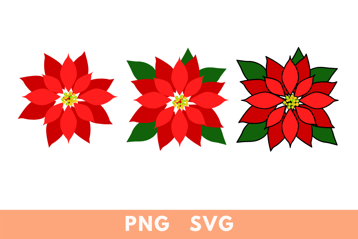 poinsettia stickers: Poinsettia Flower in PNG and SVG original product preview