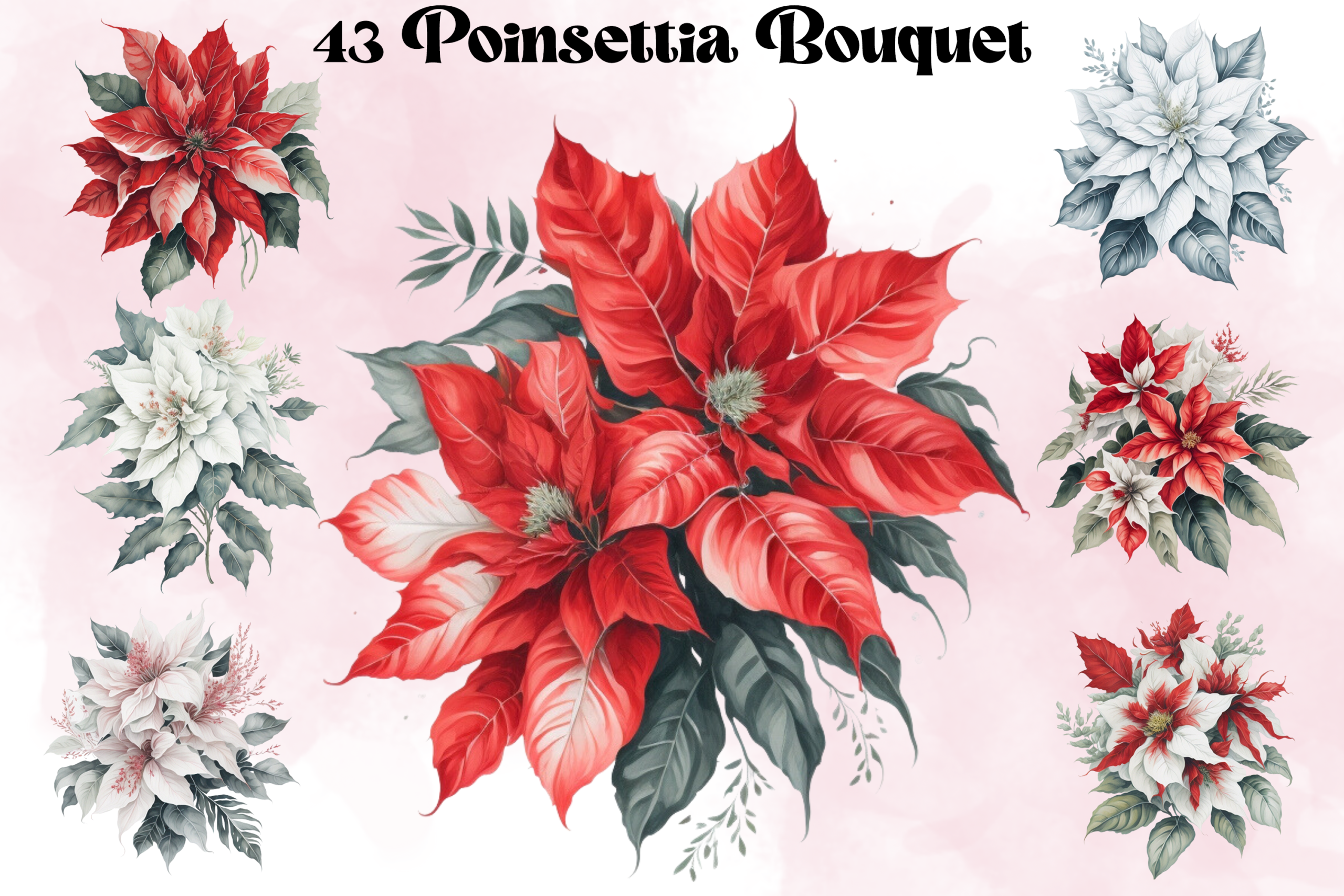 poinsettia stickers: Large Poinsettia Illustration Collection original product preview