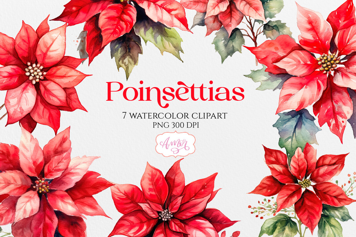 poinsettia stickers: Watercolor Poinsettia PNG Set original product preview