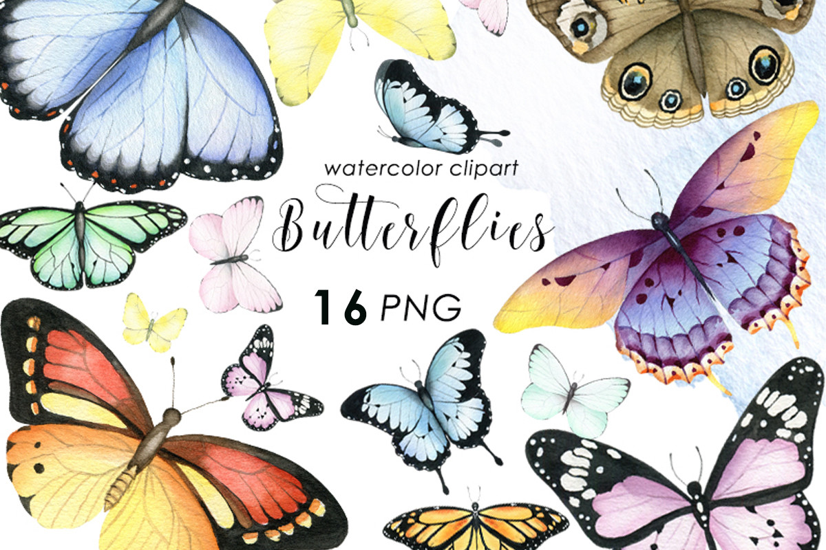 butterfly stickers: Sixteen Hand-Painted Watercolor Butterfly PNGs original product preview
