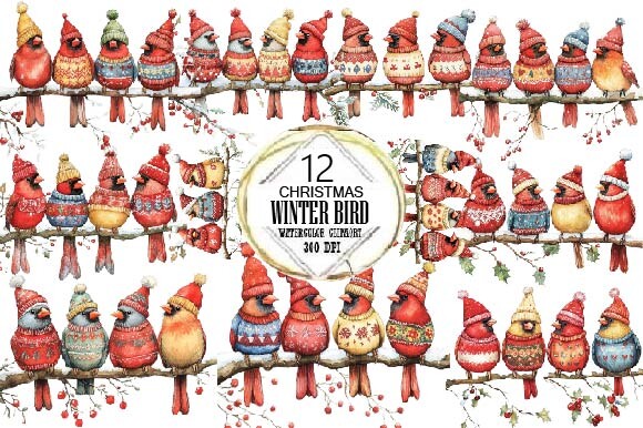 winter bird stickers: 12 Christmas Winter Bird PNGs original product preview