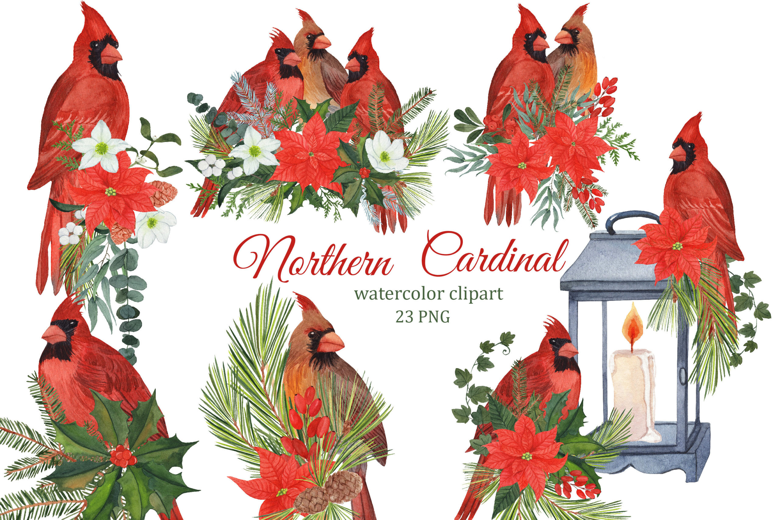 winter bird stickers: Red Cardinal and Christmas Bouquet Clipart original product preview