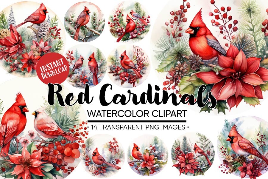 winter bird stickers: 14 Watercolor Red Cardinal Images original product preview