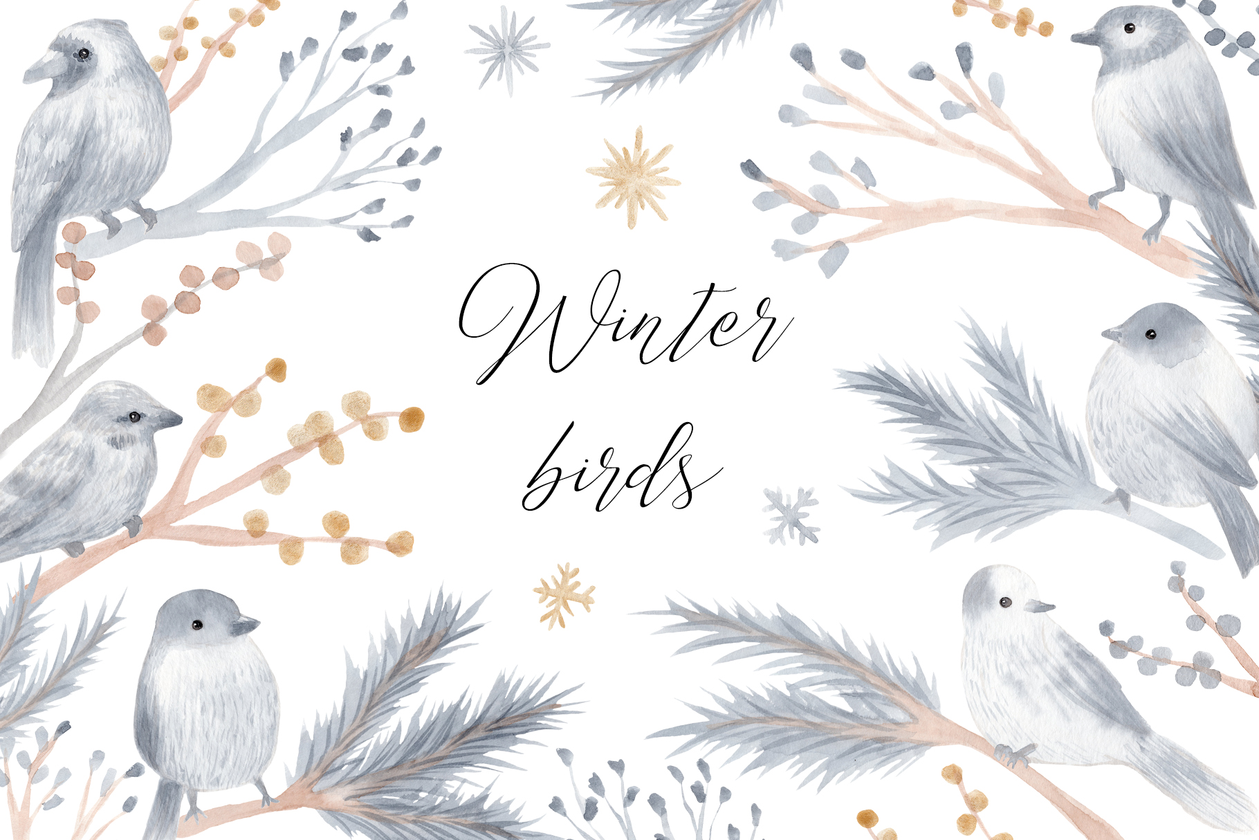winter bird stickers: Winter Birds, Branches and Seamless Patterns original product preview